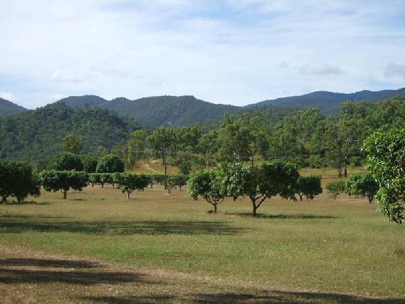 Alligator Creek QLD 4816