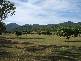 Alligator Creek QLD 4816