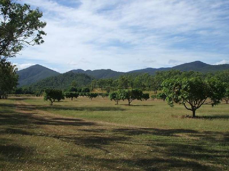 Alligator Creek QLD 4816
