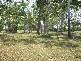 Alligator Creek QLD 4816