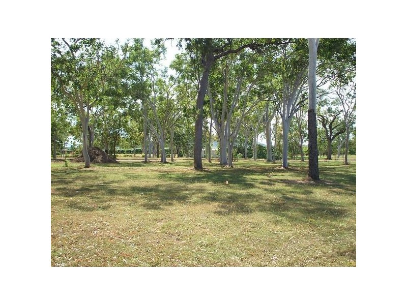 Alligator Creek QLD 4816