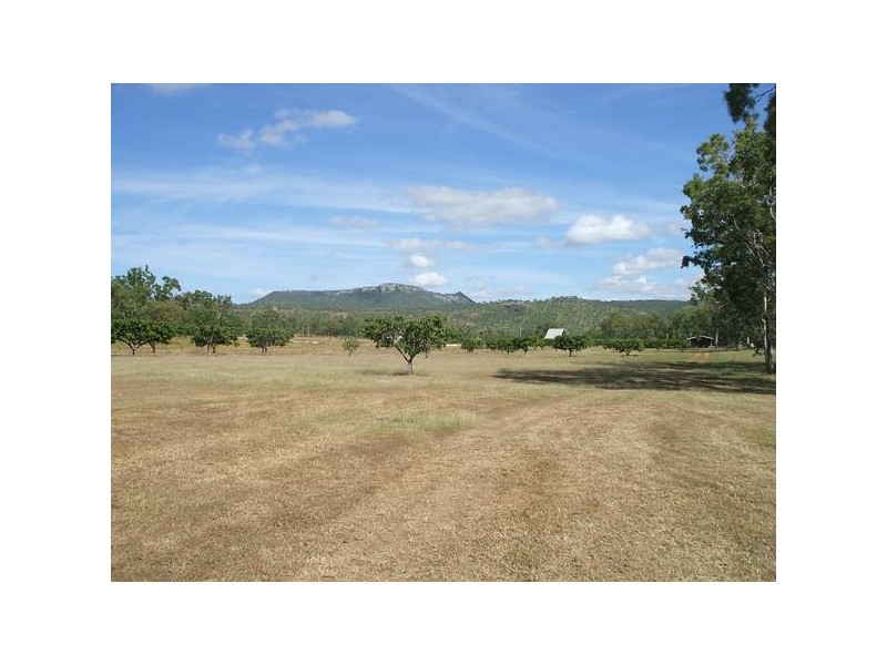 Alligator Creek QLD 4816