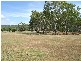 Alligator Creek QLD 4816