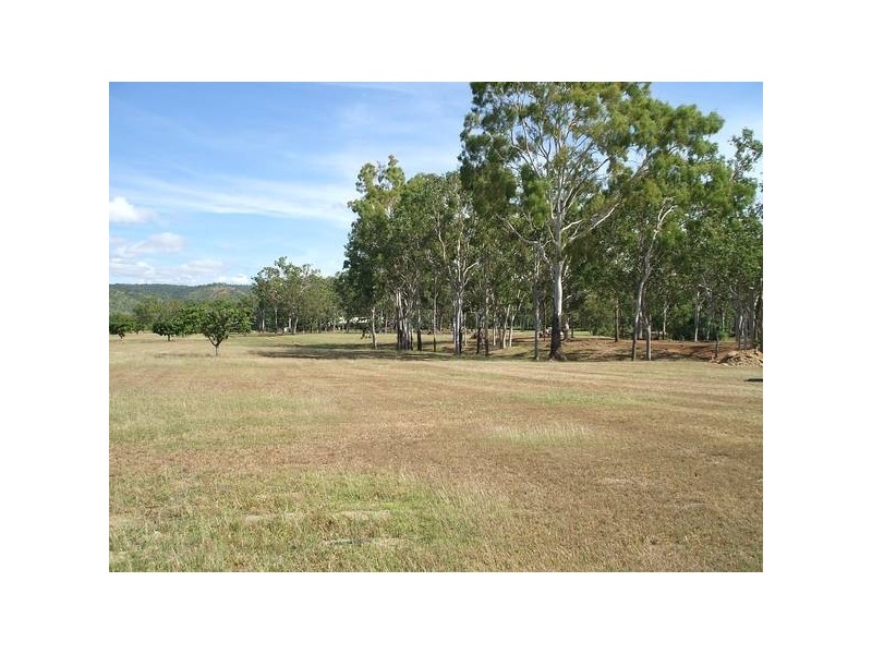 Alligator Creek QLD 4816