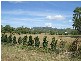Alligator Creek QLD 4816