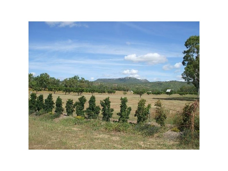 Alligator Creek QLD 4816
