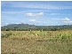 Alligator Creek QLD 4816
