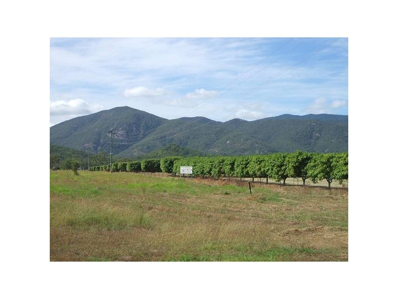 Alligator Creek QLD 4816