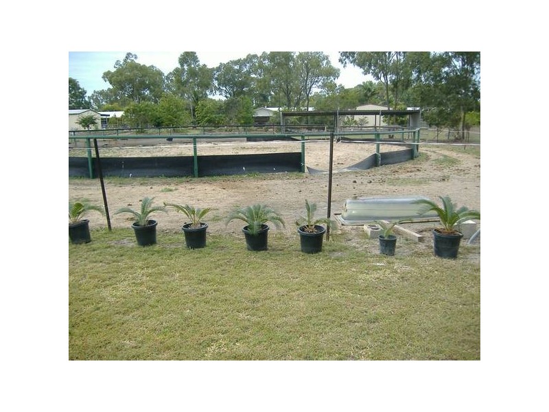 Cali Court, Mount Low QLD 4818