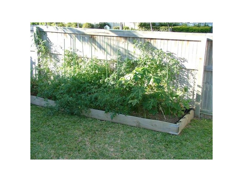 11 Mirada Court, Kirwan QLD 4817