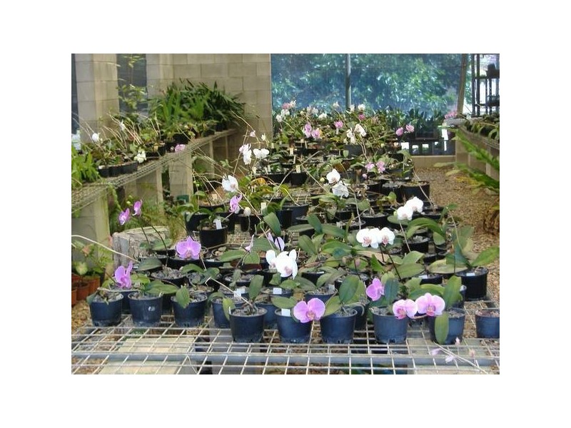 7 Lorne Court, Bluewater QLD 4818