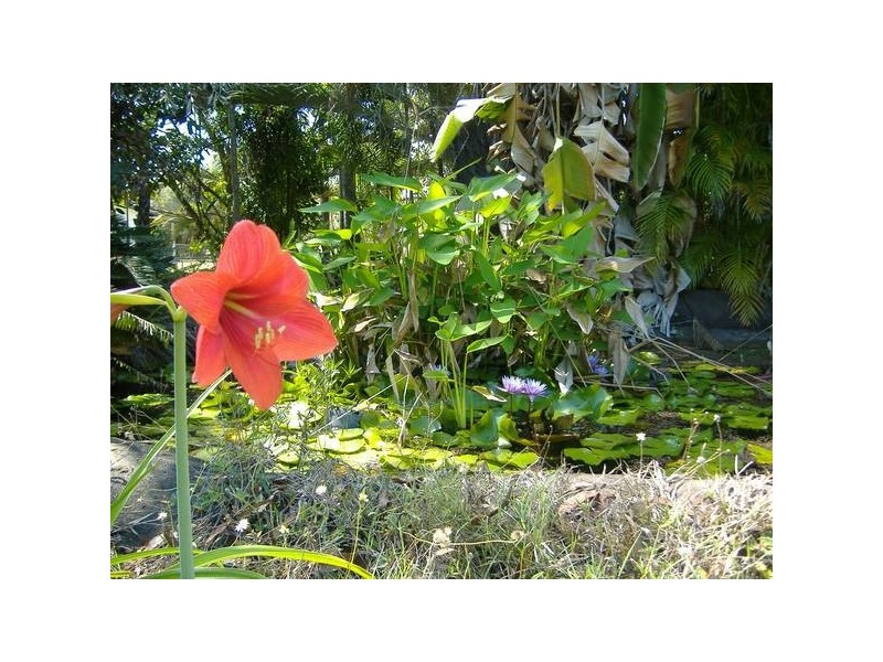 7 Lorne Court, Bluewater QLD 4818