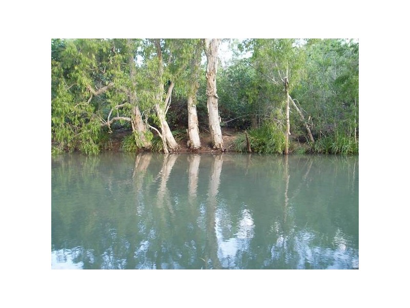 350 FORESTRY RD, Bluewater QLD 4818