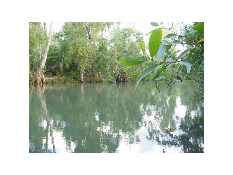 350 FORESTRY RD, Bluewater QLD 4818