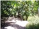 119 COUTTS DRIVE BUSHLAND BEACH, Bushland Beach QLD 4818