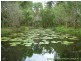 Chambers Flat QLD 4133
