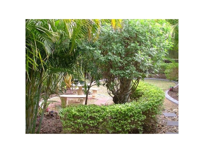 Bridelia Street, Algester QLD 4115