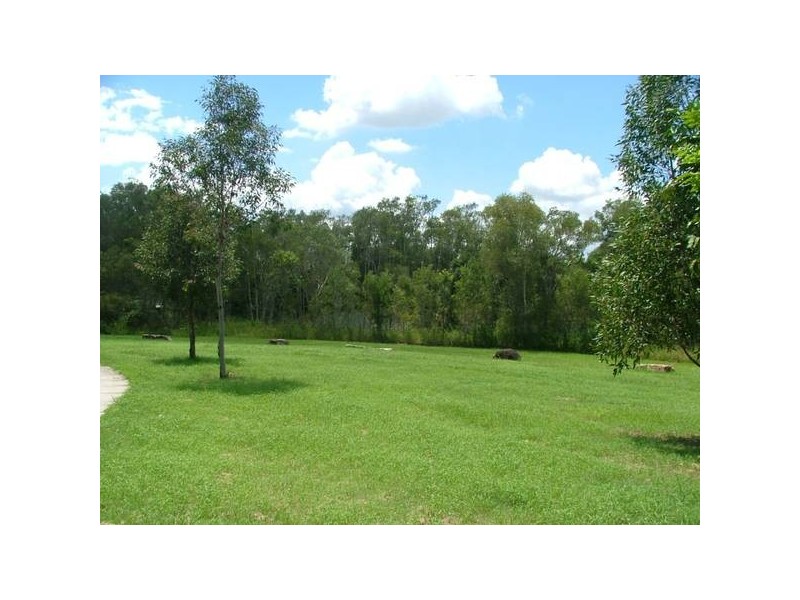 23 Nigella Circuit, Drewvale QLD 4116