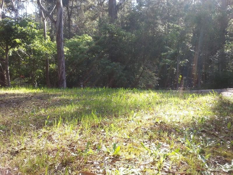 91c Malton Road, Beecroft NSW 2119