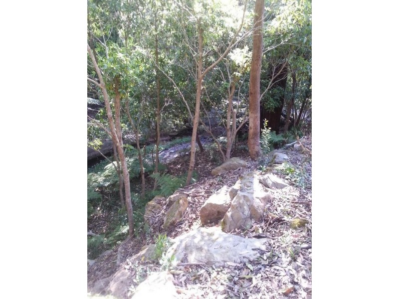 91c Malton Road, Beecroft NSW 2119