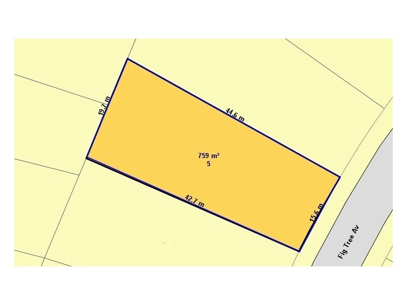 5 Fig Tree Avenue, Telopea NSW 2117