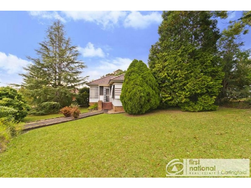 41 Tintern Avenue, Telopea NSW 2117