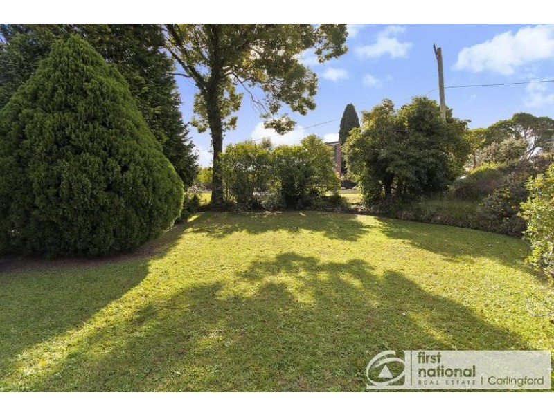 41 Tintern Avenue, Telopea NSW 2117
