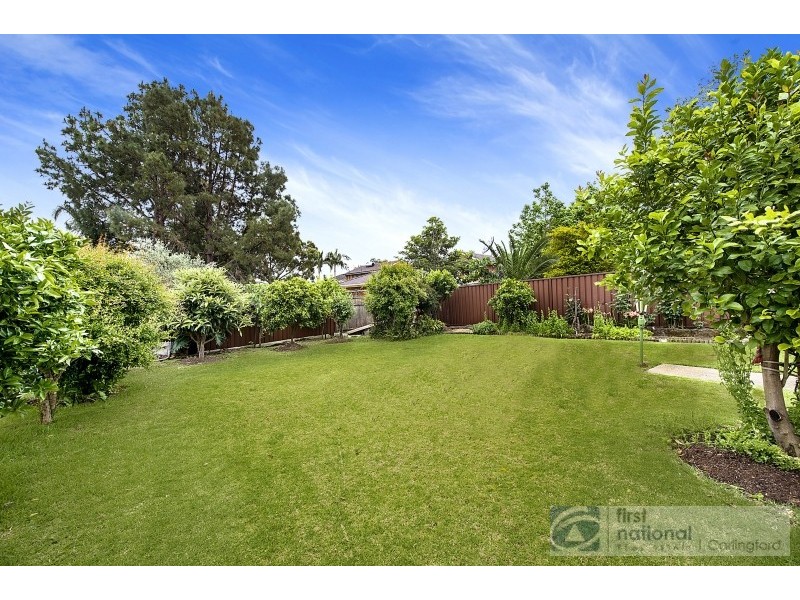 43 Christel Avenue, Carlingford NSW 2118