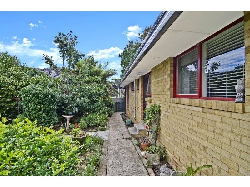 41 Bradley Drive, Carlingford NSW 2118