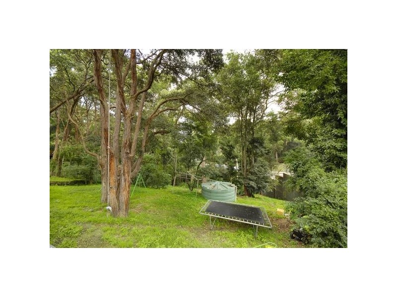 53 Carmen Drive, Carlingford NSW 2118