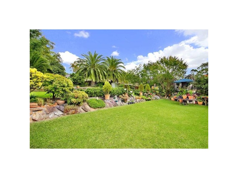 31 Haines Ave, Carlingford NSW 2118