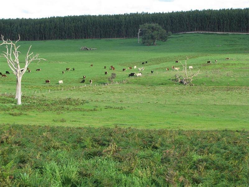 . Wan Win Road, Dartmoor VIC 3304