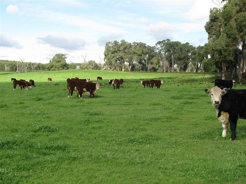 . Wan Win Road, Dartmoor VIC 3304