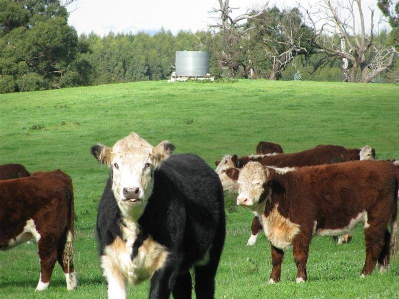 . Wan Win Road, Dartmoor VIC 3304