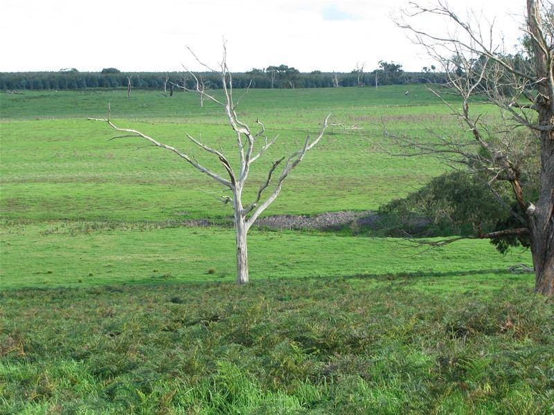 . Wan Win Road, Dartmoor VIC 3304