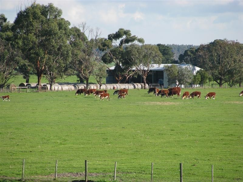 Ridge Road, Mumbannar VIC 3304