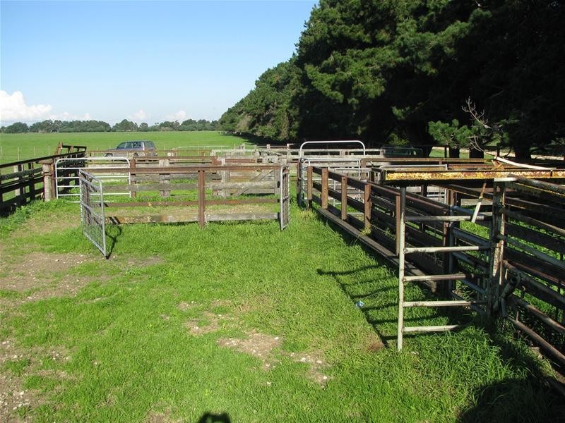 Ridge Road, Mumbannar VIC 3304