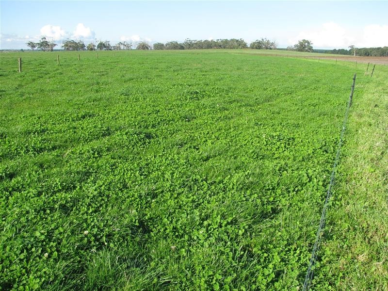 Ridge Road, Mumbannar VIC 3304