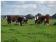 Ridge Road, Mumbannar VIC 3304