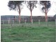 00 Kalangadoo Road, Glencoe SA 5291