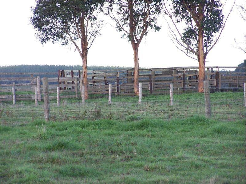 00 Kalangadoo Road, Glencoe SA 5291