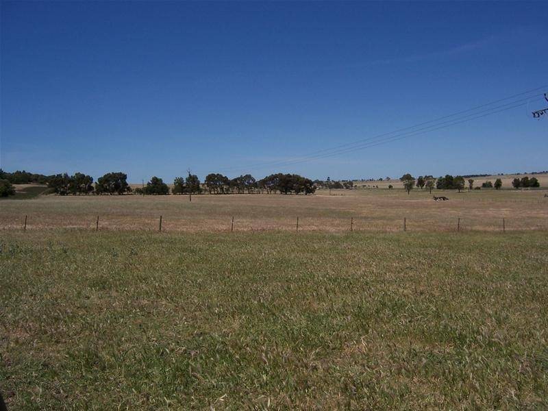 Pine Park South, Riddoch Highway, Naracoorte SA 5271