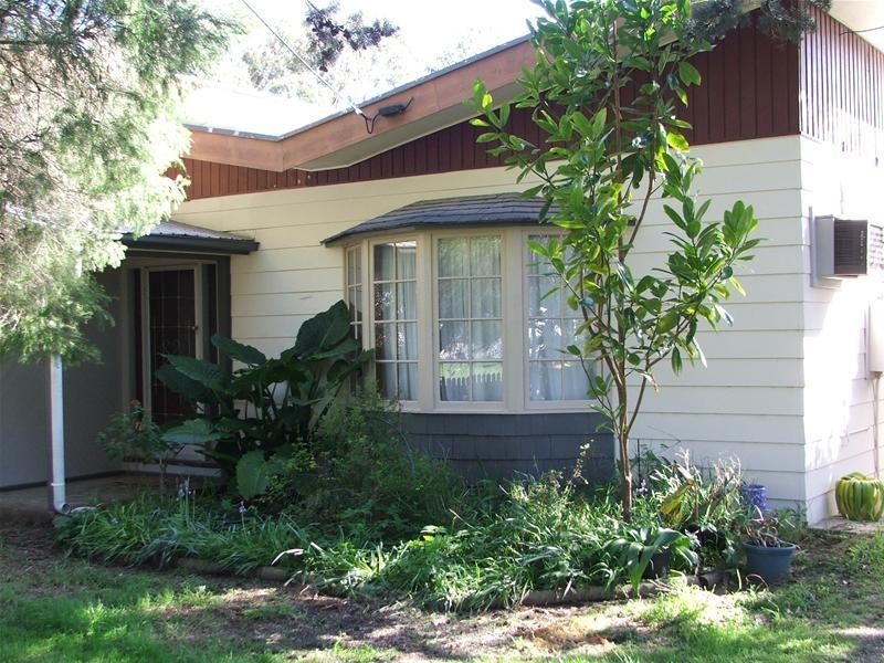 54 Riddoch Highway, Tarpeena SA 5277
