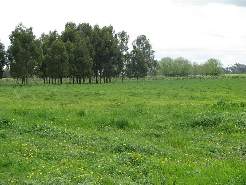 “Perkins”, Mingbool SA 5291