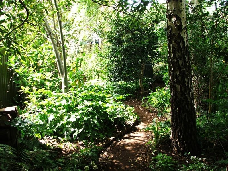 3 Harbison Street, Mount Gambier SA 5290