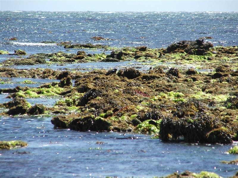 Lots 1, 3, Eight Mile Creek Road, Racecourse Bay SA 5291