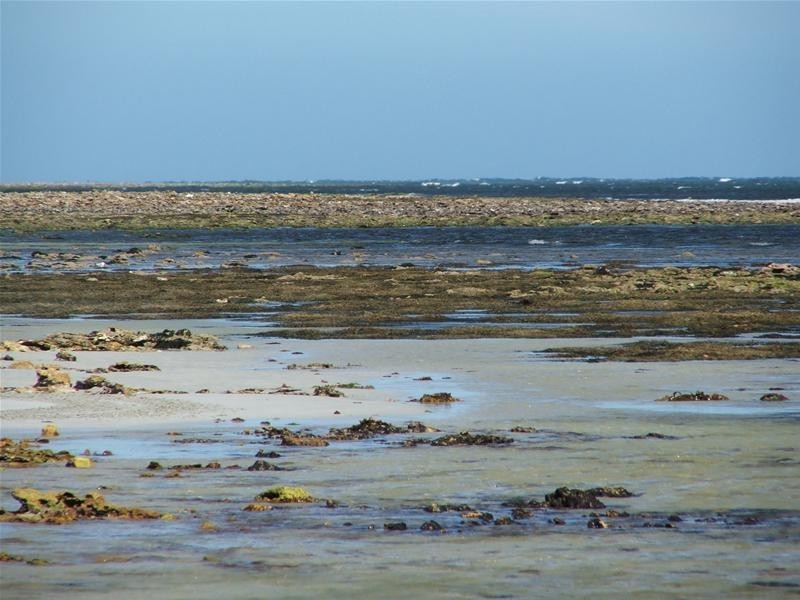 Lots 1, 3, Eight Mile Creek Road, Racecourse Bay SA 5291