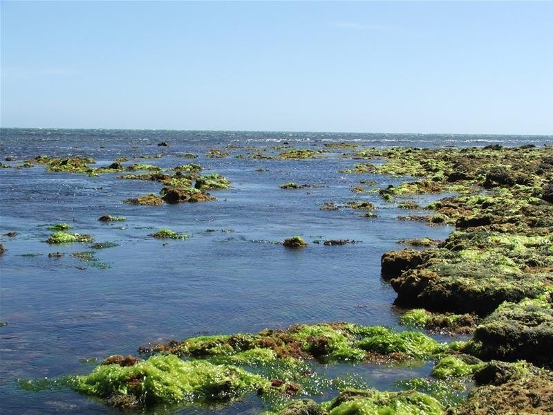 Lots 1, 3, Eight Mile Creek Road, Racecourse Bay SA 5291