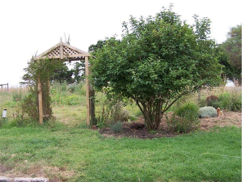 Lot 1 Corner Gums and Sisters Road, Kongorong SA 5291