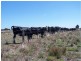 Wandilo Road, Glencoe SA 5291